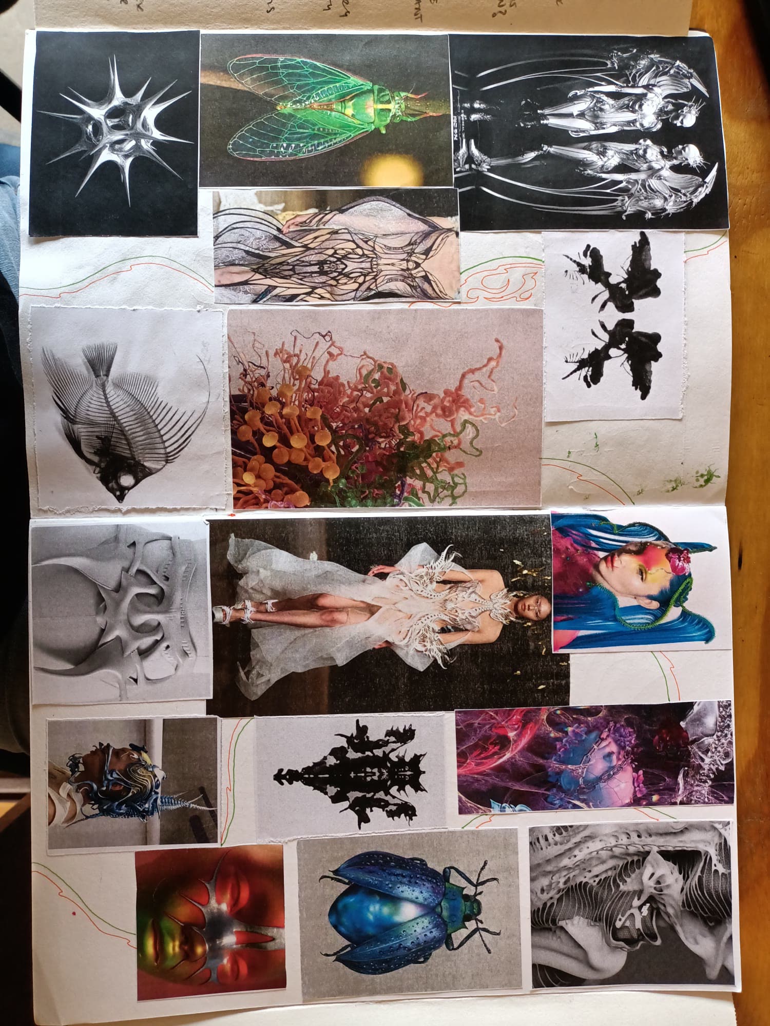 Research moodboard collage